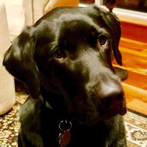 Meet your Posher, Melinda